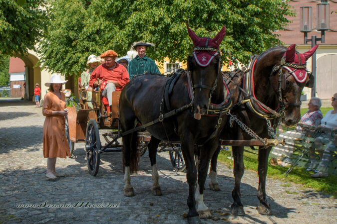 gk_20250615_2050-1