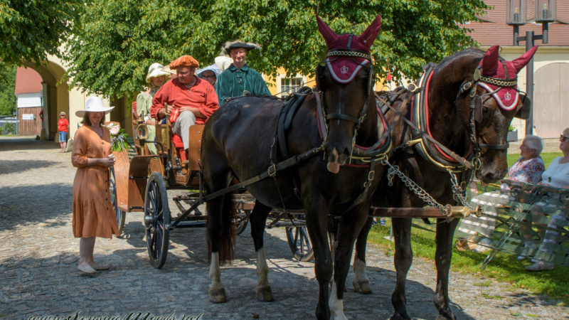 gk_20250615_2050-1