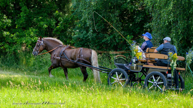 gk_20250615_0694-1