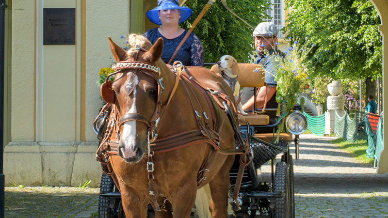 gk_20250615_1389-1