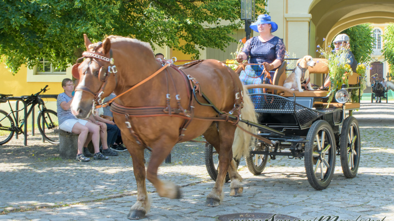 gk_20250615_1393-1
