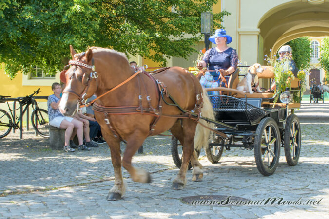 gk_20250615_1393-1