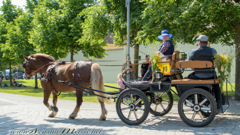 gk_20250615_1396-1