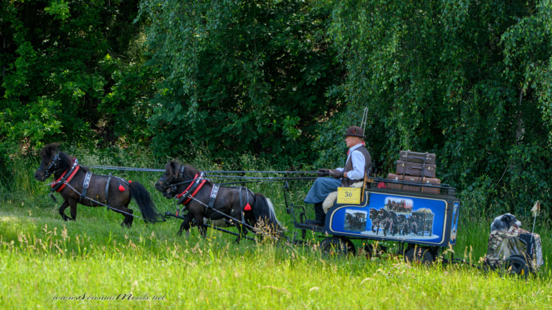 gk_20250615_0710-1
