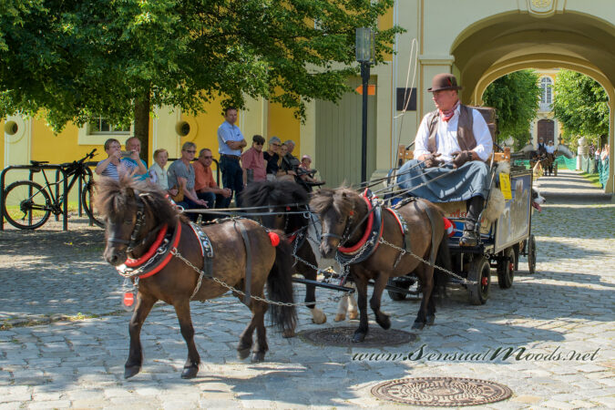 gk_20250615_1476-1