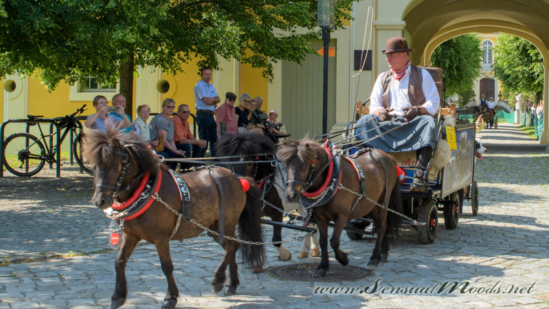 gk_20250615_1476-1
