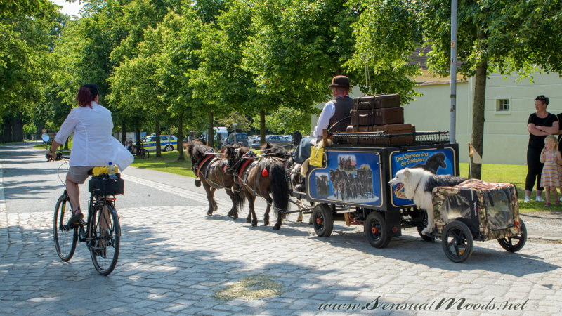 gk_20250615_1482-1