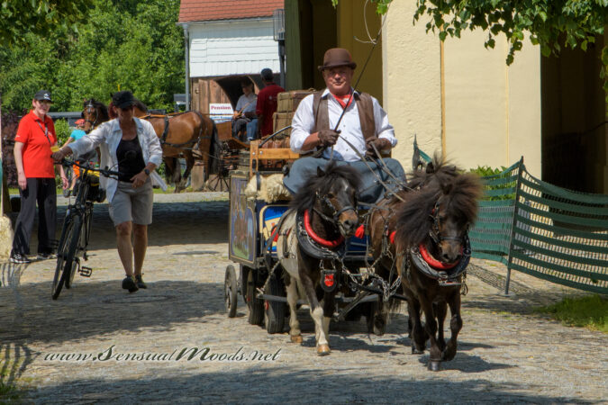 gk_20250615_1963-1