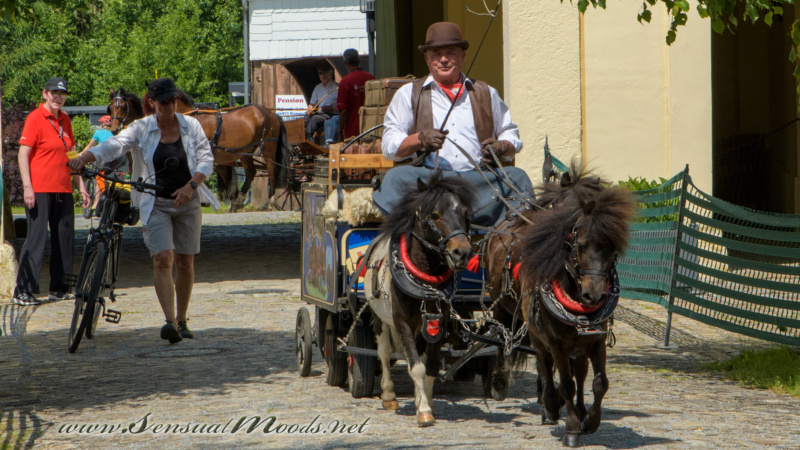 gk_20250615_1963-1