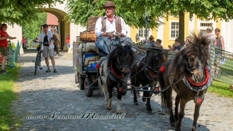 gk_20250615_1972-1
