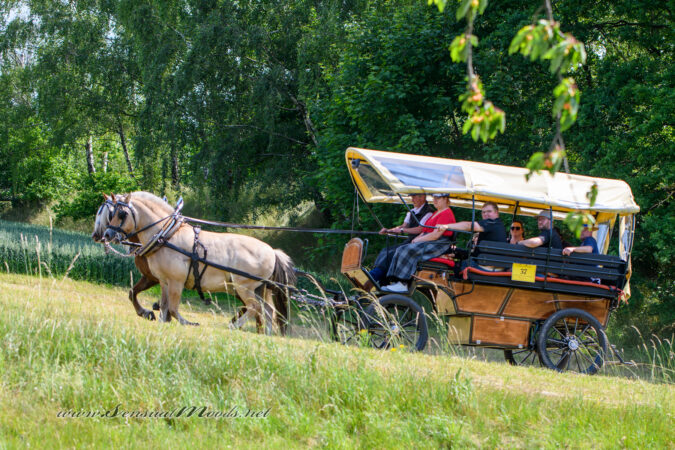 gk_20250615_0621-1