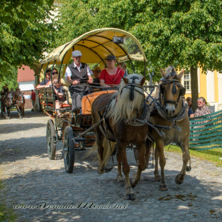 gk_20250615_2114-1