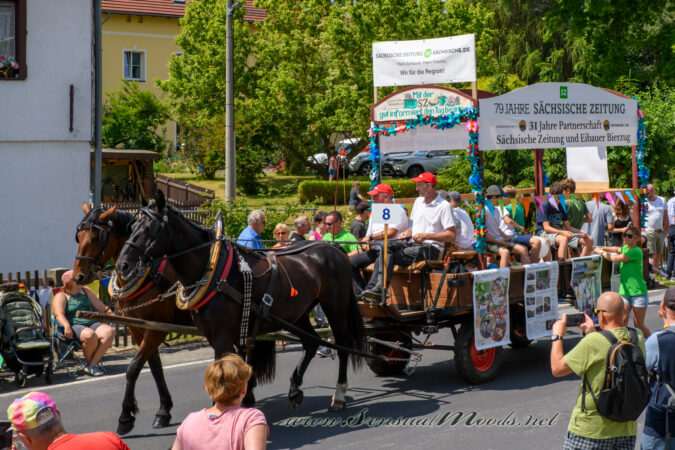 gk_20250629_0020-1
