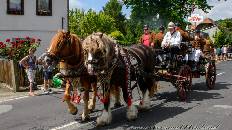 gk_20250629_0160-1