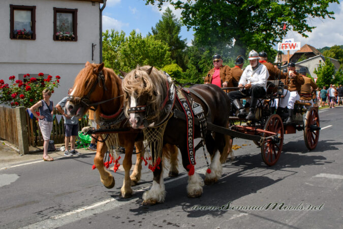 gk_20250629_0160-1