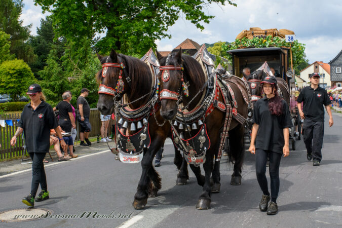 gk_20250629_0211-1