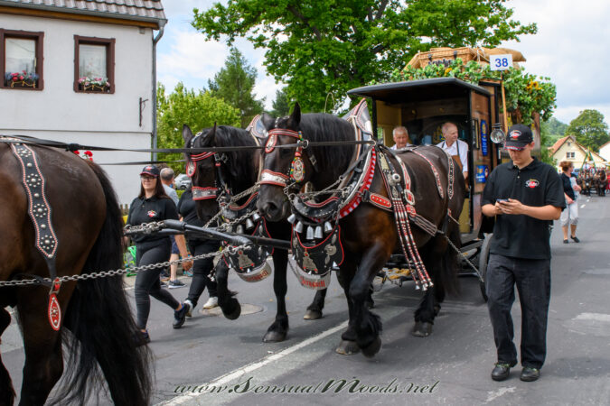 gk_20250629_0213-1