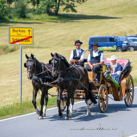 gk_20250615_0875-1