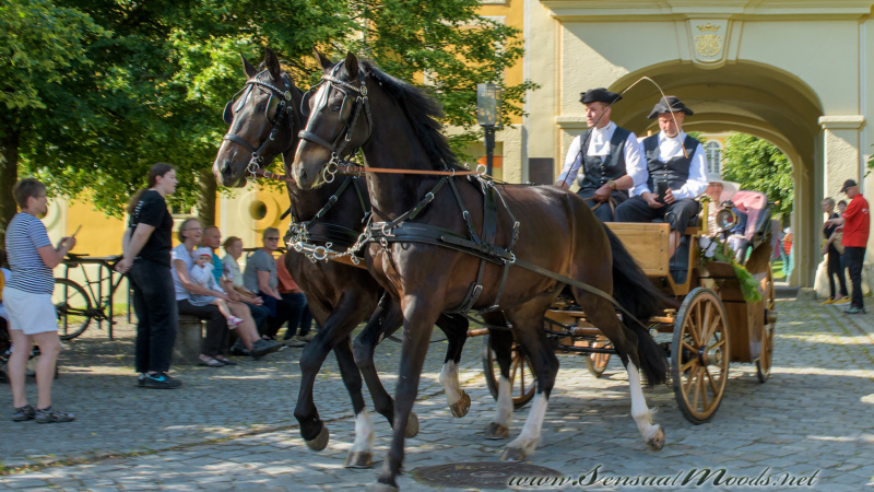 gk_20250615_1062-1