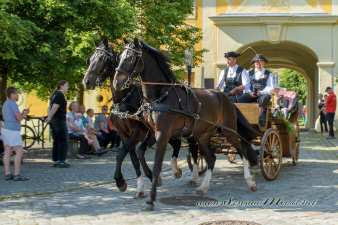 gk_20250615_1062-1