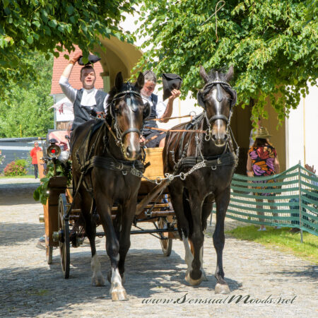 gk_20250615_1749-1