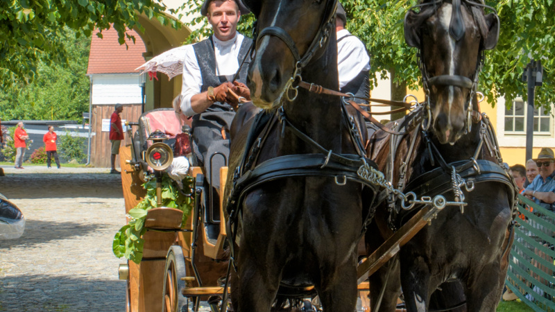 gk_20250615_1753-1