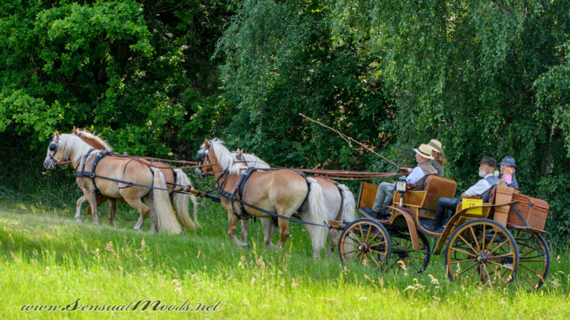 gk_20250615_0475-1