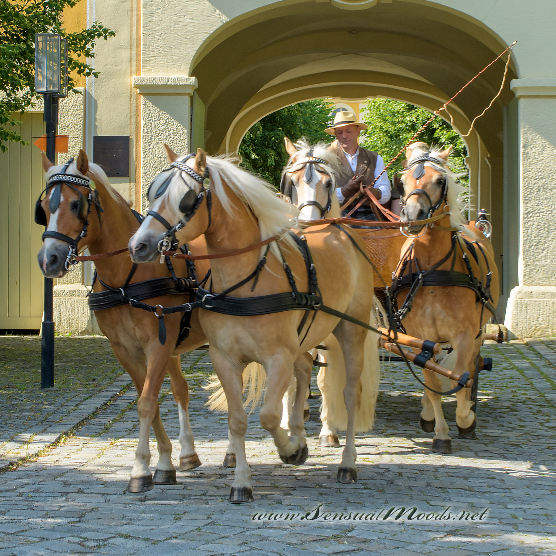 gk_20250615_1184-1