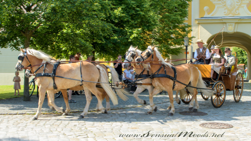 gk_20250615_1187-1