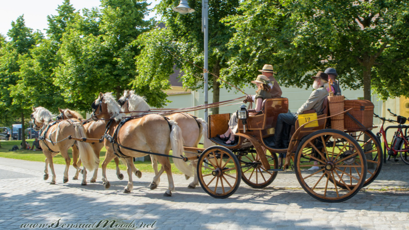 gk_20250615_1191-1