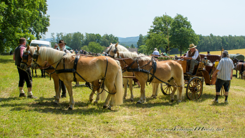 gk_20250615_1661-1