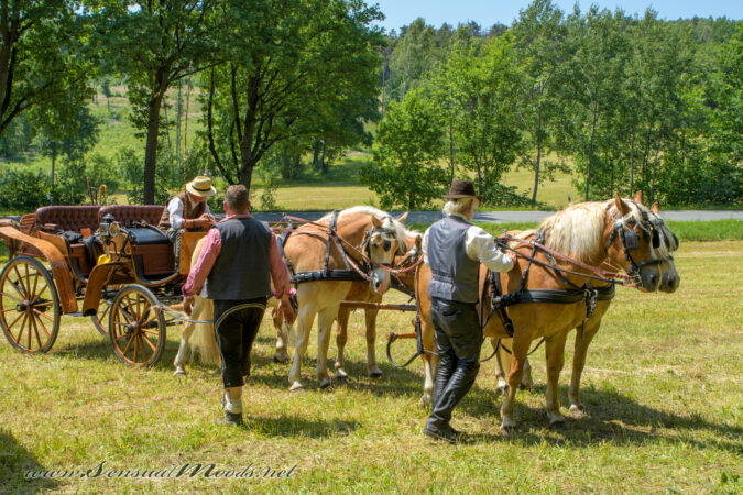 gk_20250615_1665-1