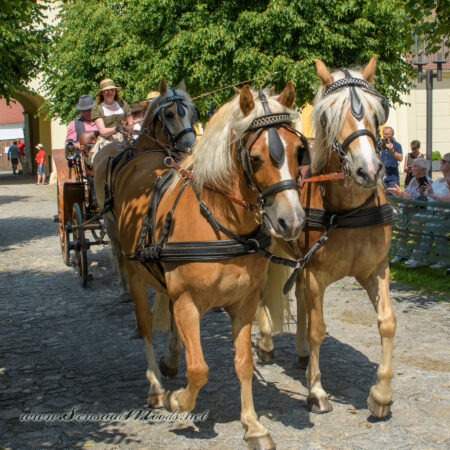 gk_20250615_1933-1
