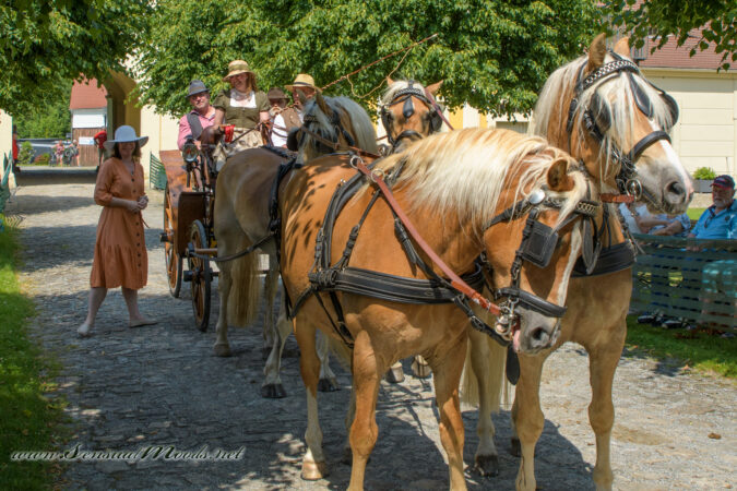 gk_20250615_1936-1