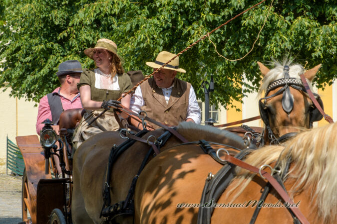 gk_20250615_1939-1