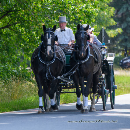 gk_20250615_0373-1