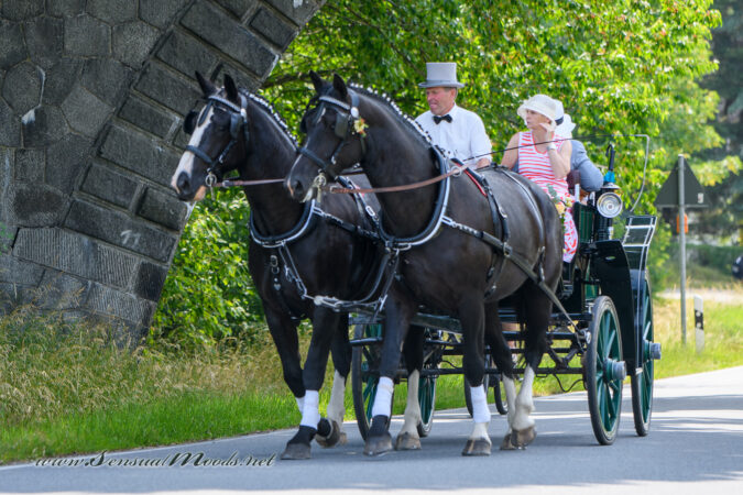 gk_20250615_0375-1