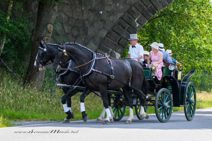 gk_20250615_0376-1