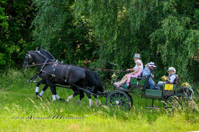 gk_20250615_0380-1