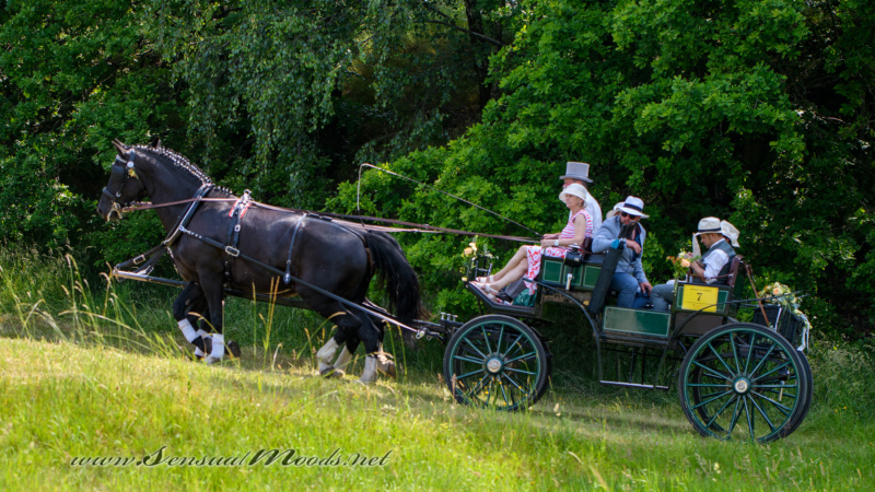 gk_20250615_0382-1