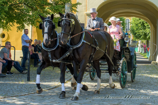gk_20250615_1118-1