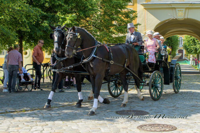 gk_20250615_1119-1