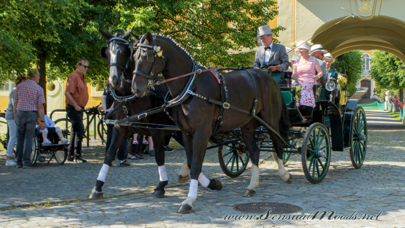 gk_20250615_1119-1
