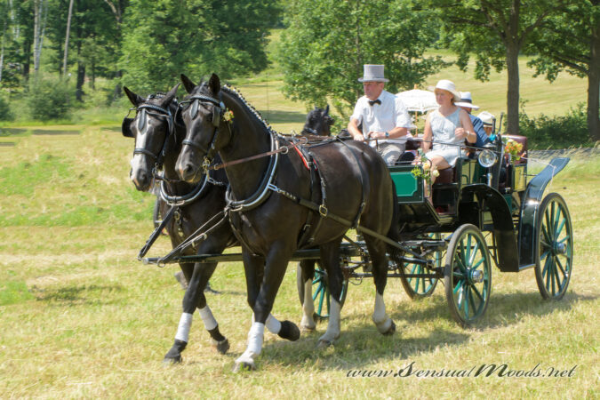 gk_20250615_1647-1