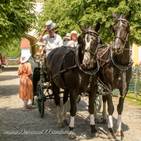 gk_20250615_1824-1