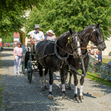 gk_20250615_1828-1