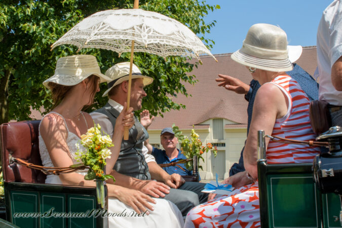 gk_20250615_1833-1