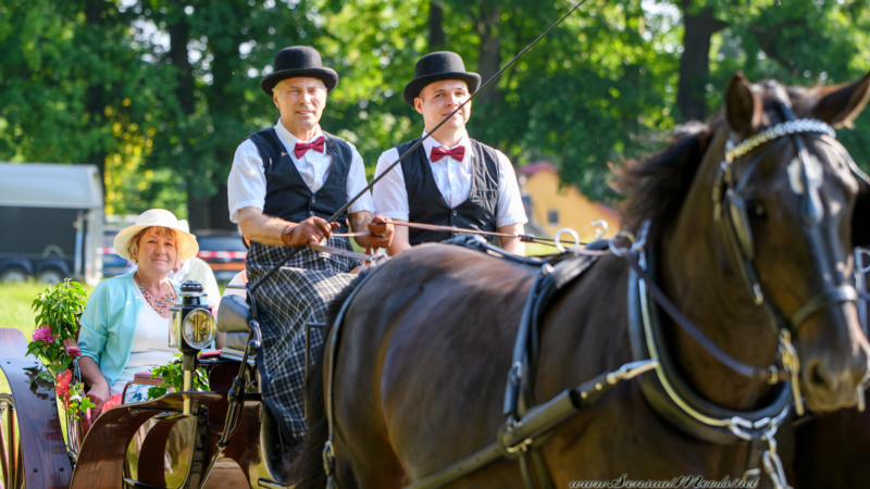 gk_20250615_0210-1
