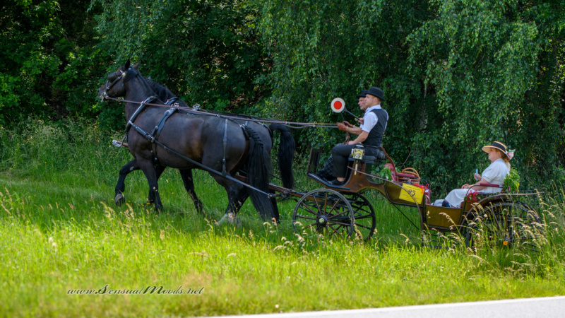 gk_20250615_0506-1