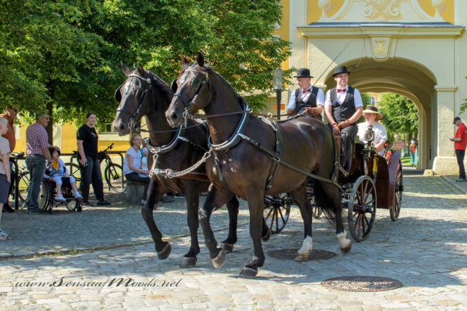 gk_20250615_1203-1